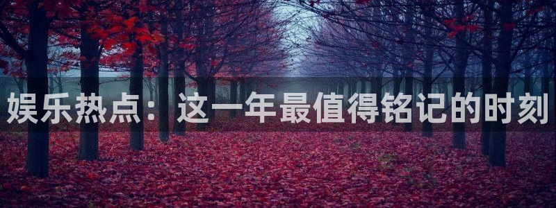 娱乐热点：这一年最值得铭记的时刻