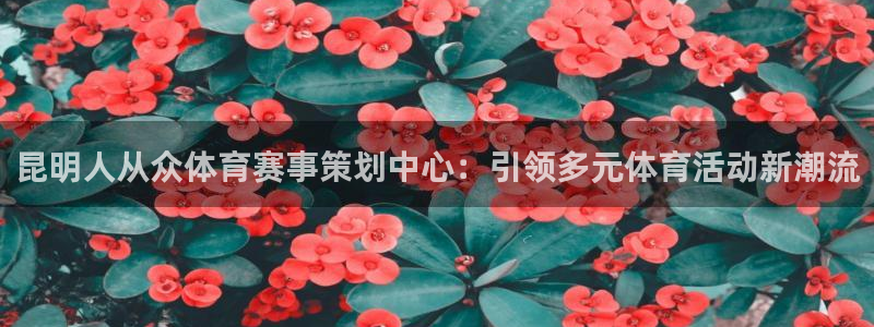 昆明人从众体育赛事策划中心：引领多元体育