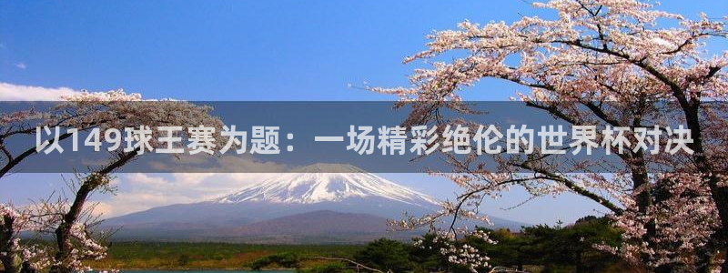 以149球王赛为题：一场精彩绝伦的世界杯