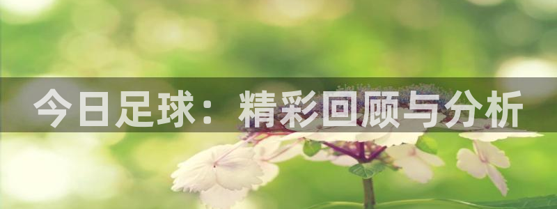 今日足球：精彩回顾与分析