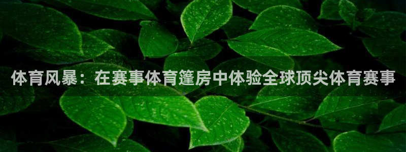 体育风暴：在赛事体育篷房中体验全球顶尖体
