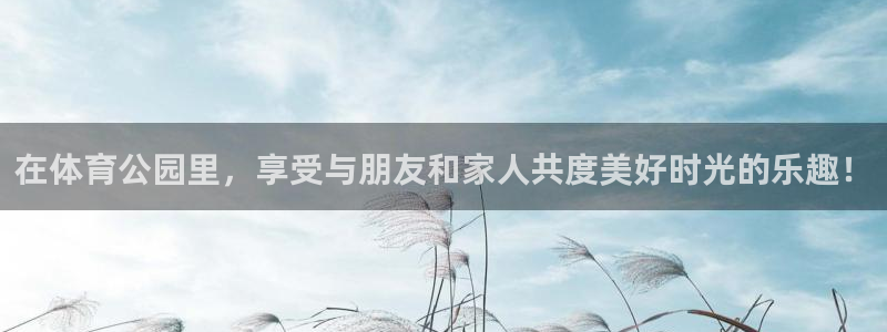 在体育公园里，享受与朋友和家人共度美好时